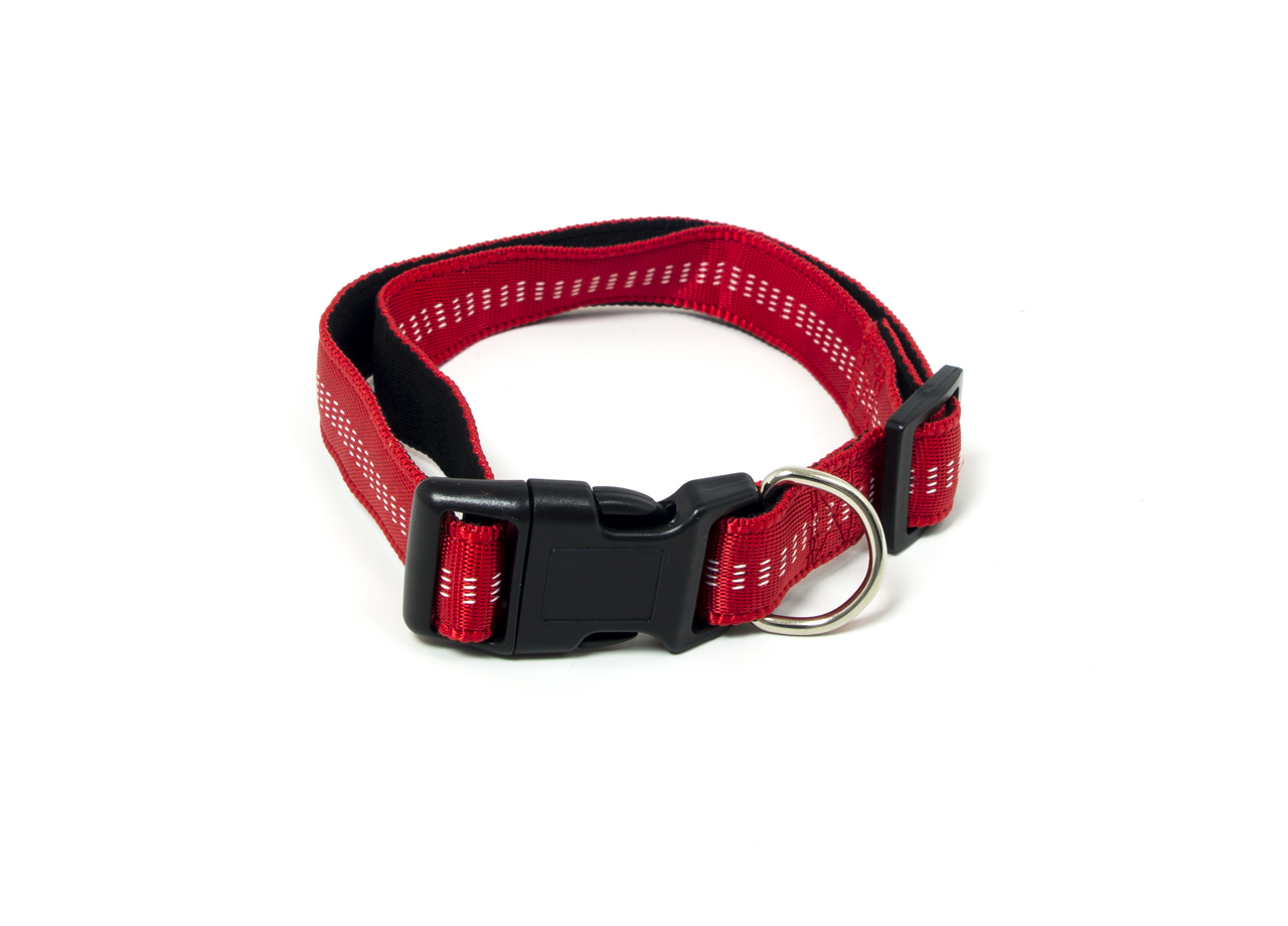 CINTURINO COLLARE ROSSO