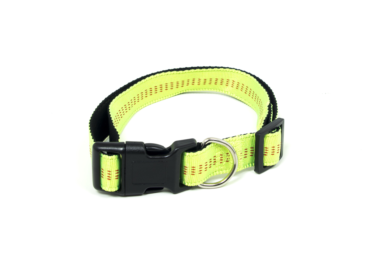 CINTURINO COLLARE VERDE FLUO