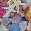 Parure Lenzuola Copriletto Stampa Digitale Cotone Made In Italy Conchiglie 8 DETT DIGITALE CONCHIGLIE
