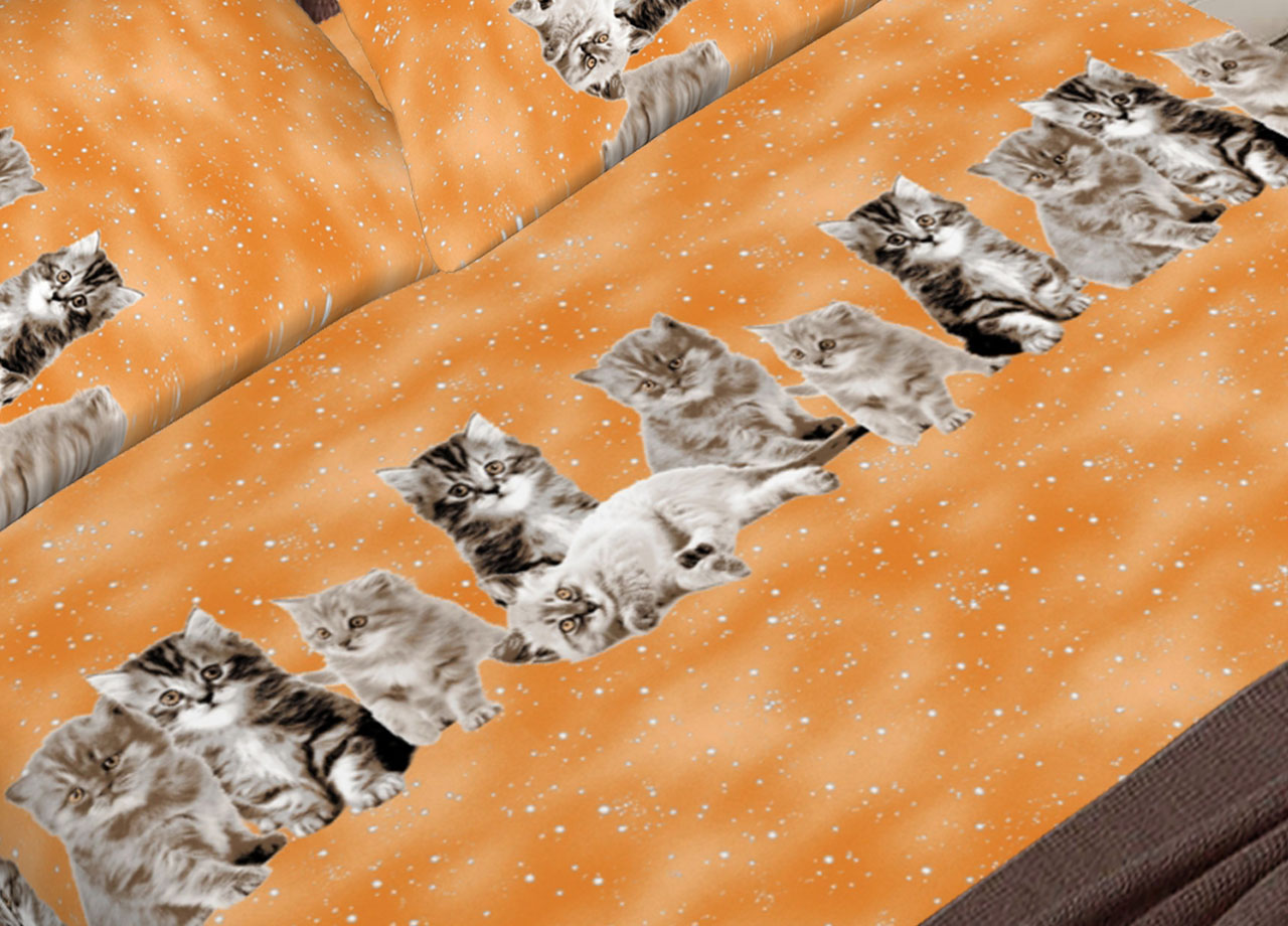 DETT LENZ GATTINO ARANCIO 2