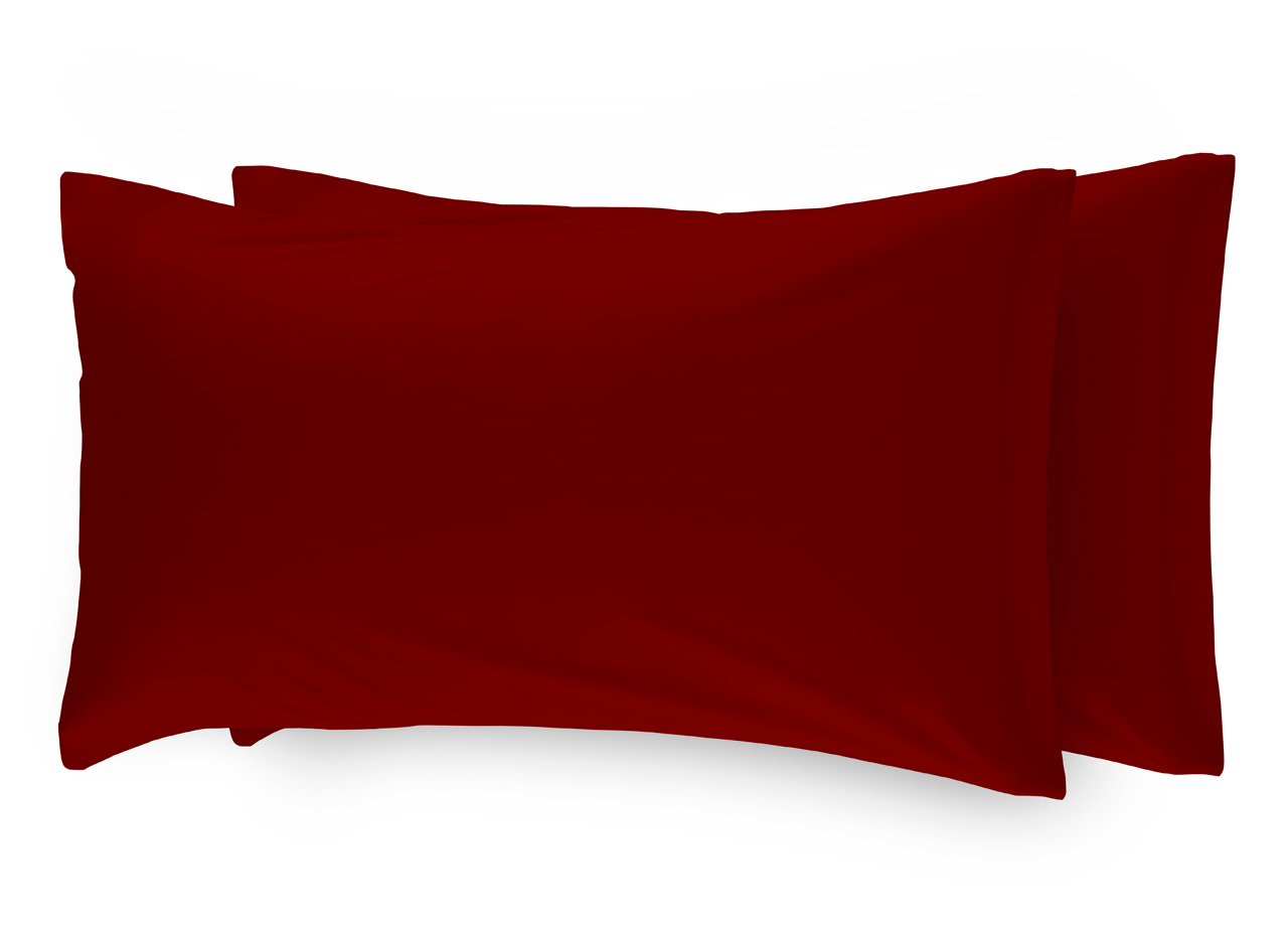 FEDERE MICRODREAM BORDEAUX