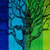 Telo Mare Jacquard Spugna Asciugamano Spiaggia Disegno Life Tree 78 LIFE TREE VERDE DETT