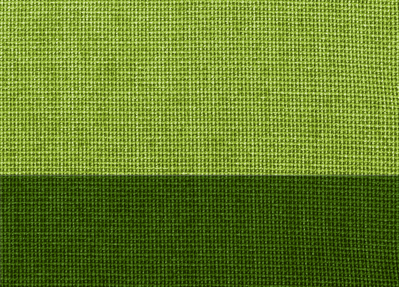 P33 DET INTRECCIO VERDE