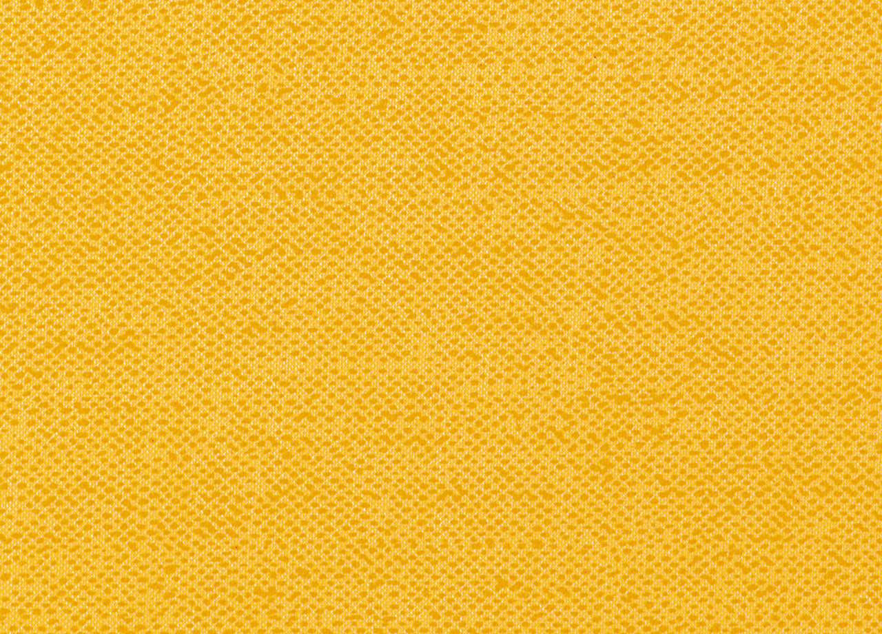 P6 DET PANAMA ORO