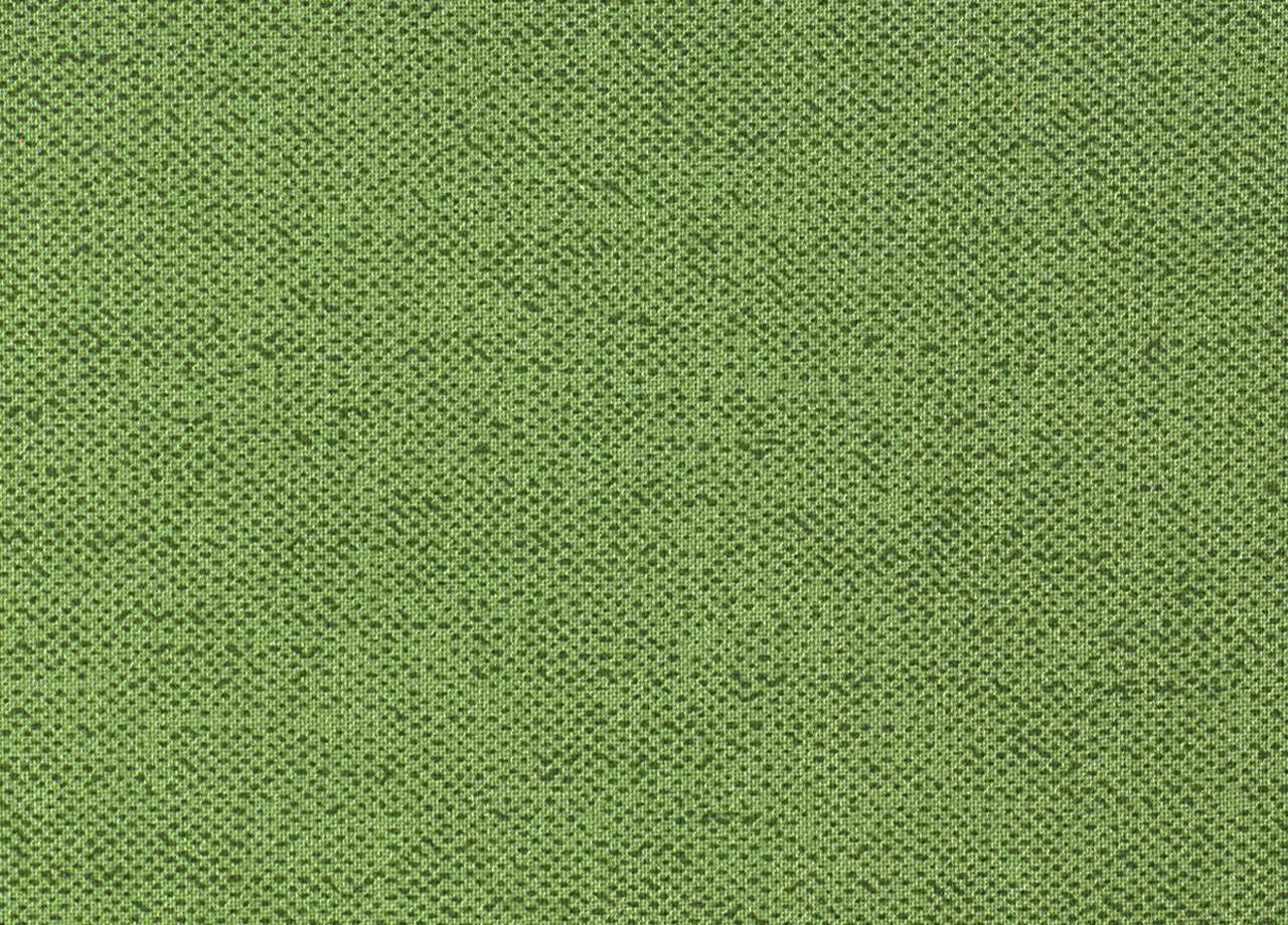 P6 DET PANAMA VERDE