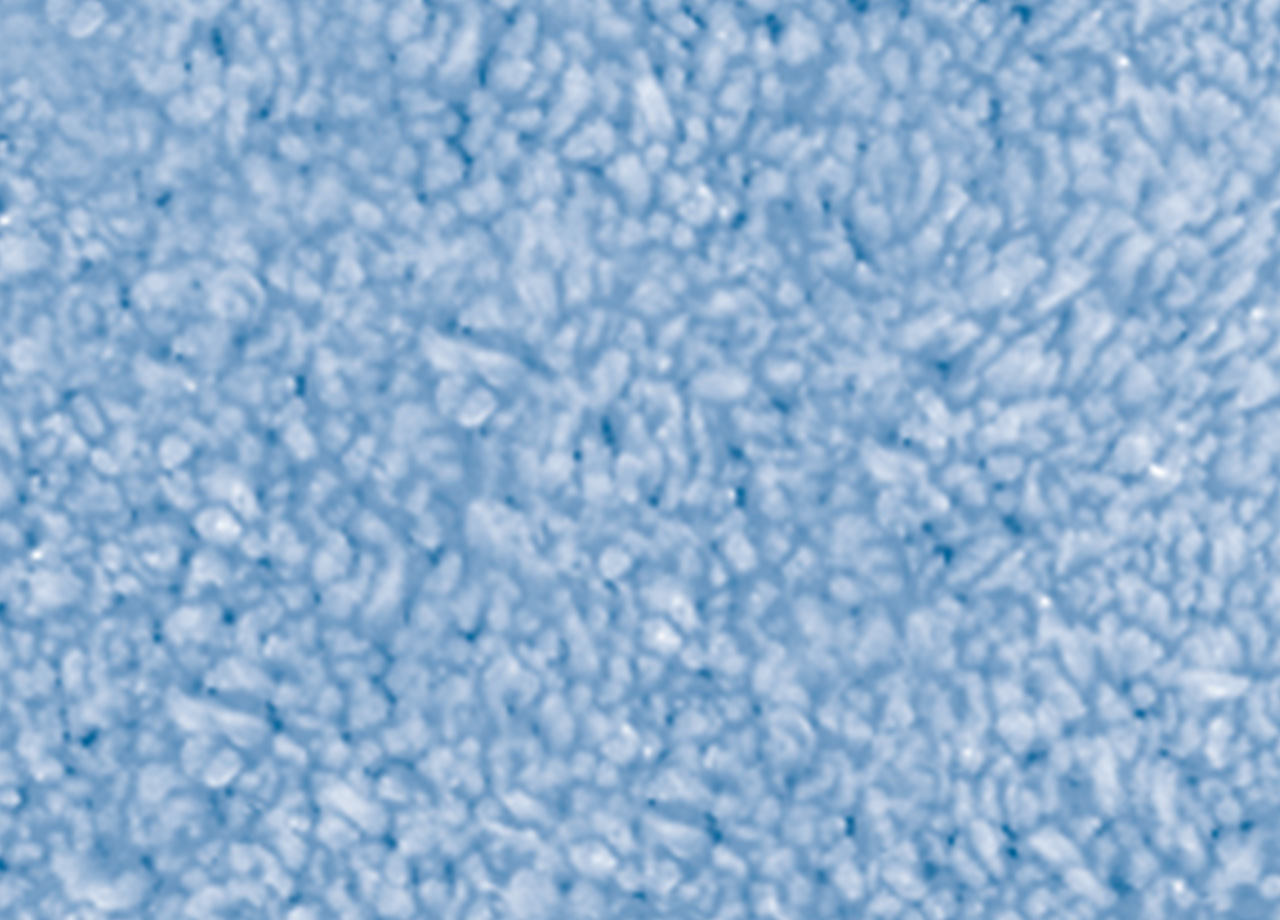 P73 DET TAPPETO POIS AZZURRO