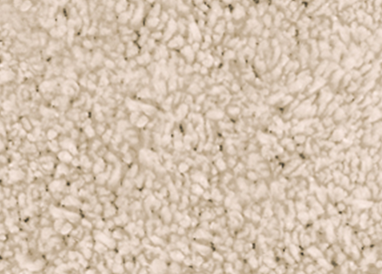 P73 DET TAPPETO POIS BEIGE