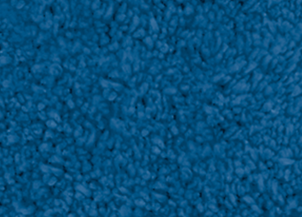 P73 DET TAPPETO POIS BLU