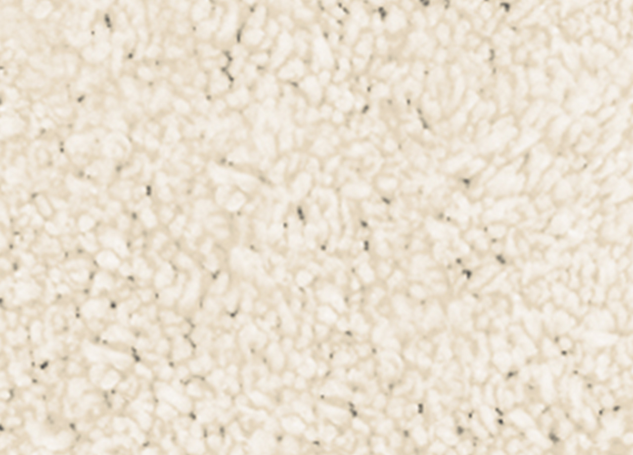 P73 DET TAPPETO POIS NATURALE