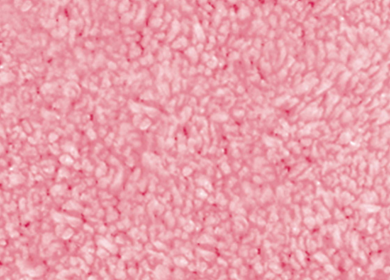 P73 DET TAPPETO POIS ROSA