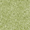 P73 DET TAPPETO POIS VERDE