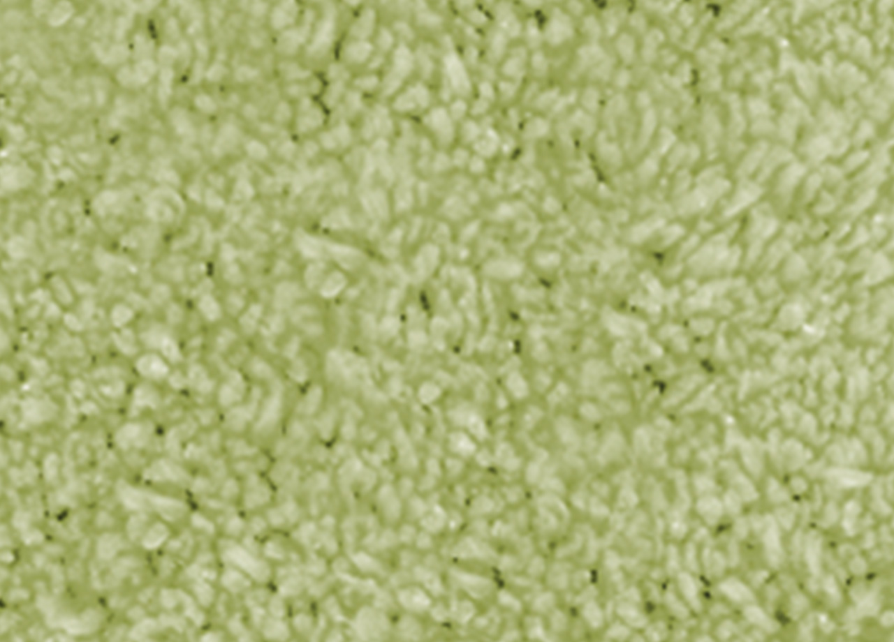 P73 DET TAPPETO POIS VERDE
