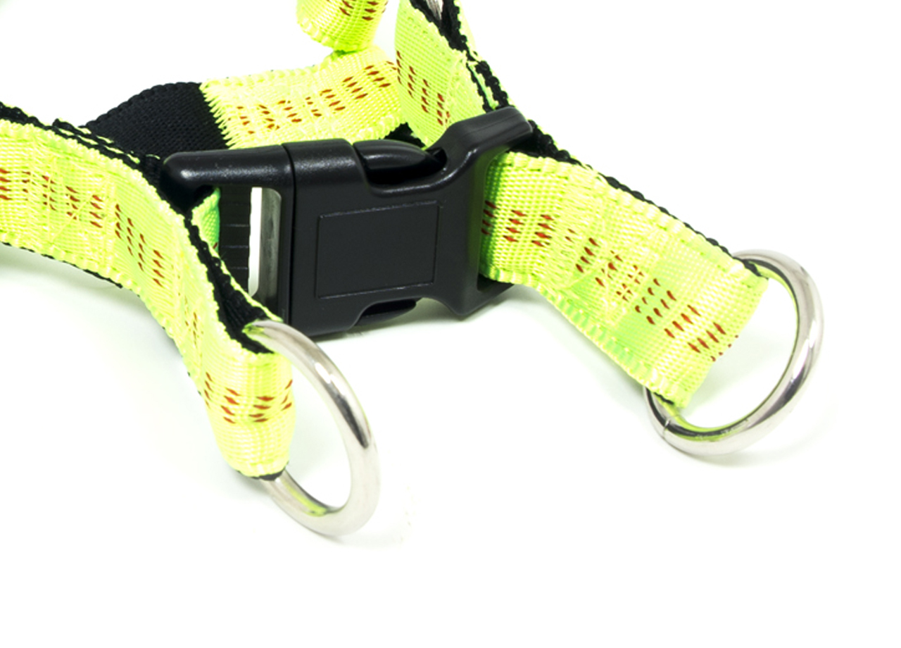 Pettorina Per Cani Regolabile E Resistente Modello Color Doggy 187 PETTORINA COLOR DOGGY VERDE DETTAGLIO 1