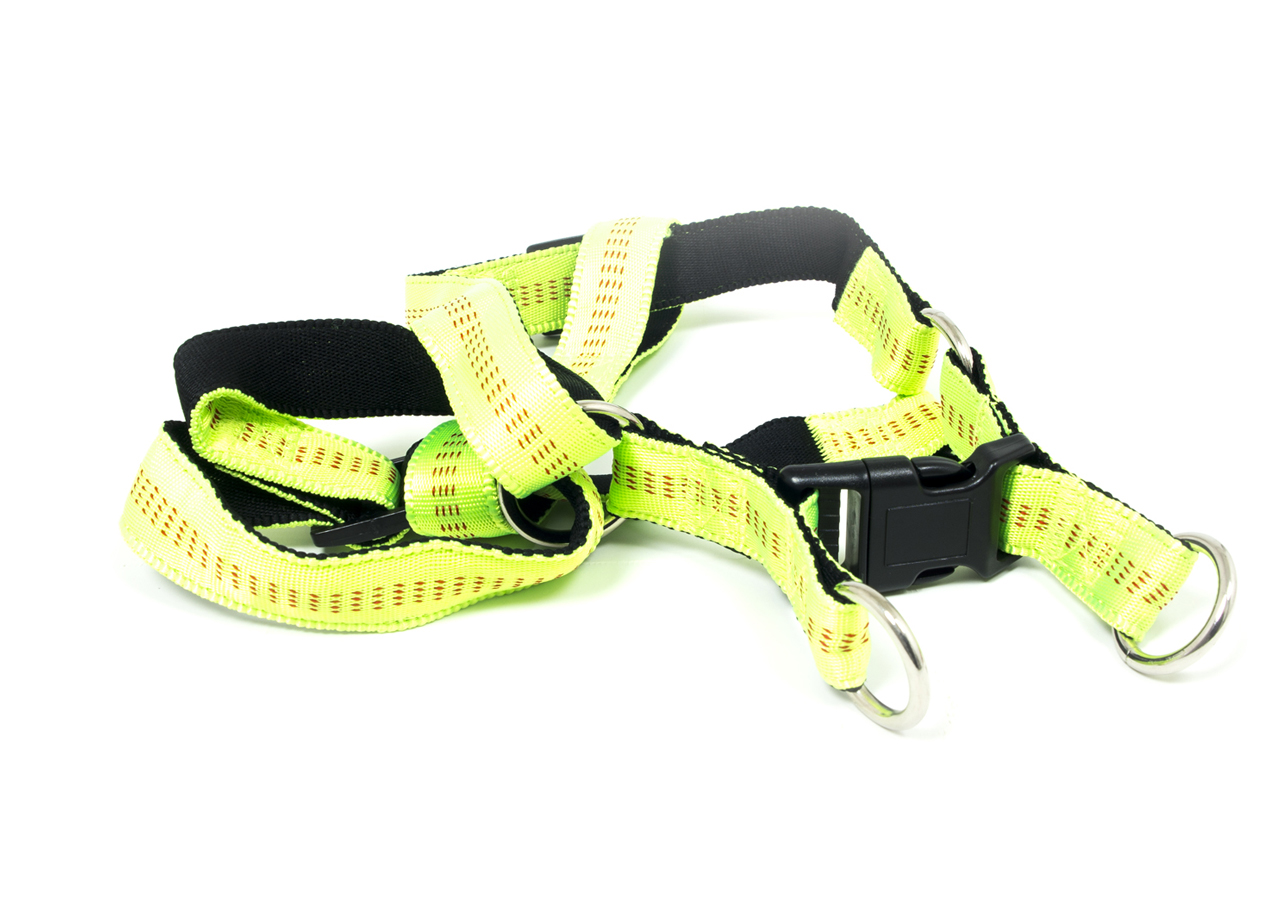 Pettorina Per Cani Regolabile E Resistente Modello Color Doggy 186 PETTORINA DOGGY GIALLO