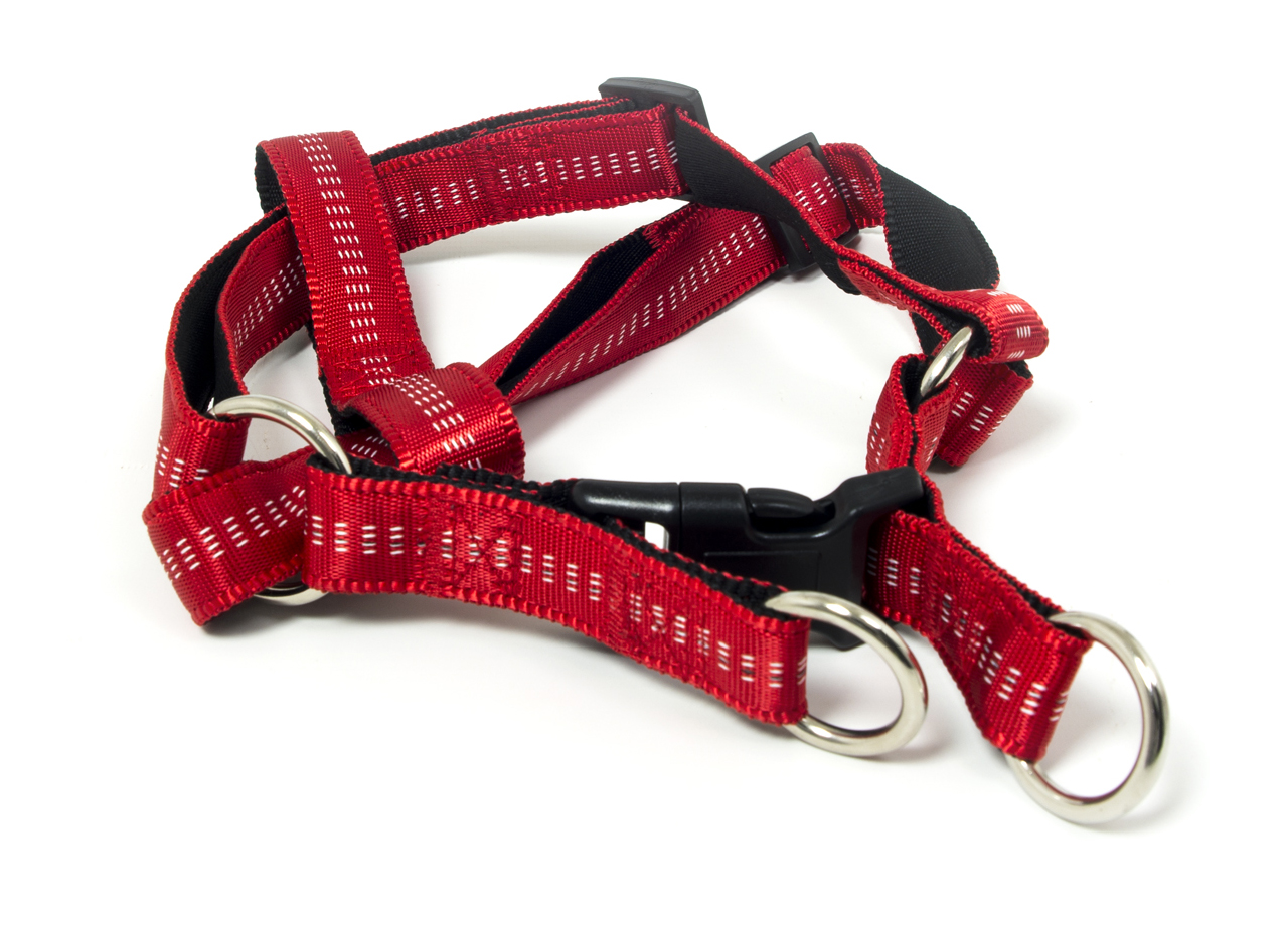 Pettorina Per Cani Regolabile E Resistente Modello Color Doggy 183 PETTORINA DOGGY ROSSO