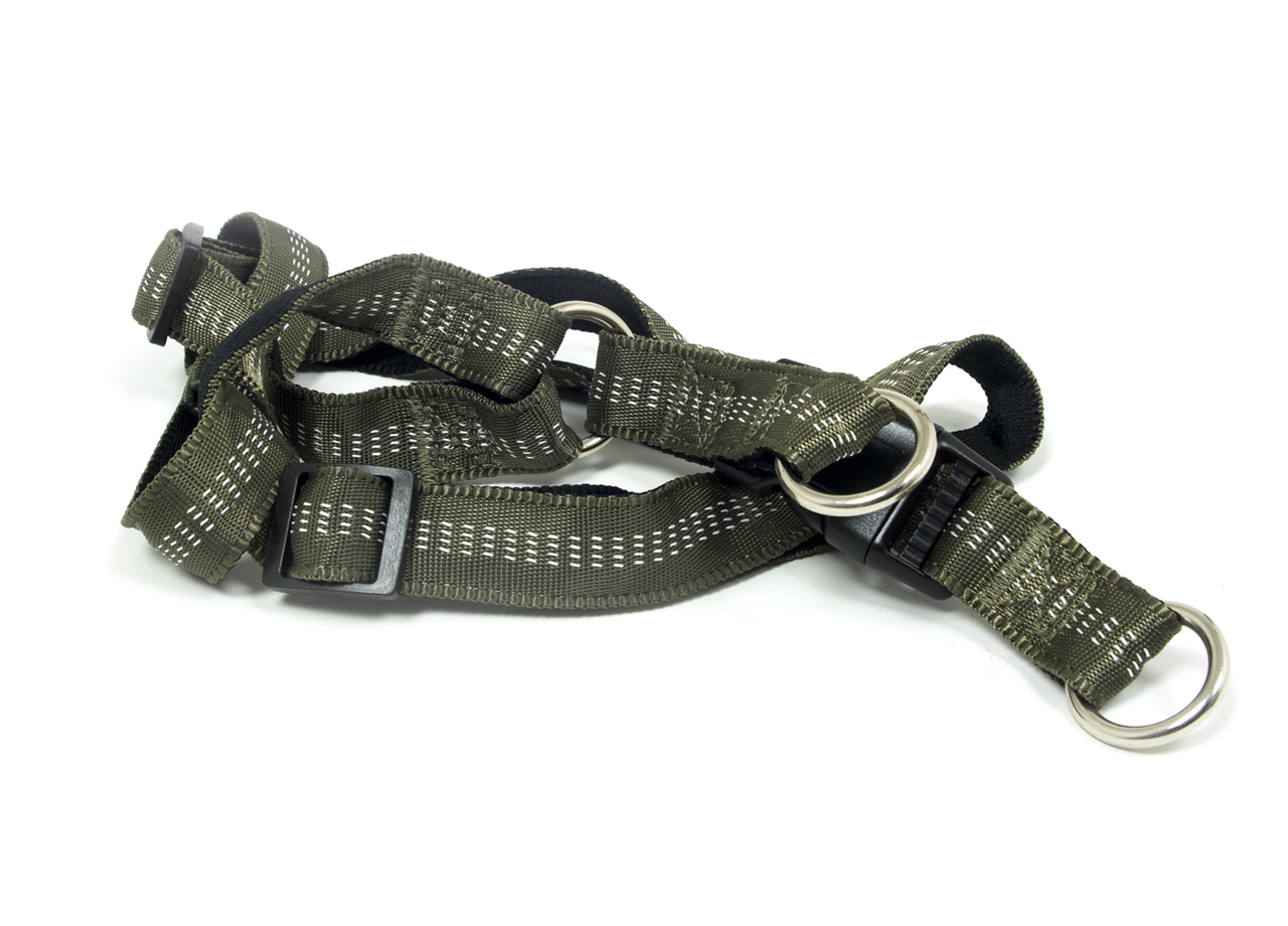 Pettorina Per Cani Regolabile E Resistente Modello Color Doggy 189 PETTORINA DOGGY VERDE