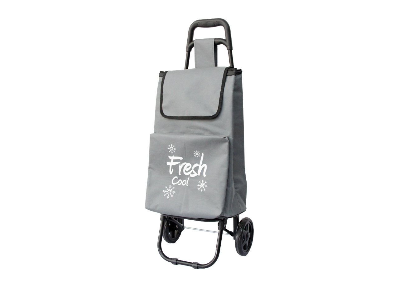 Carrello Spesa Termico Con Ruote Trolley Portaspesa Con Manico Alfredo 30 Carrello Spesa Termico Con Ruote Trolley Portaspesa Con Manico Alfredo - immagine 461