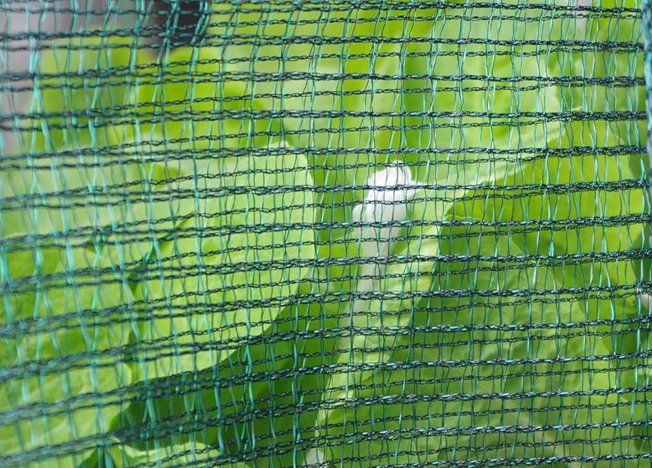 Rotolo Telo Anti Grandine Verde Ammortizzante Rete Protettiva Auto E Orto 58 Rotolo Telo Anti Grandine Verde Ammortizzante Rete Protettiva Auto E Orto - immagine 183